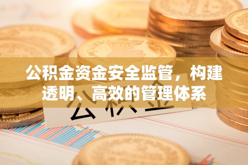 肥西公积金资金安全监管，构建透明、高效的管理体系