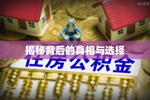 肥西揭秘背后的真相与选择