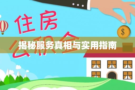 肥西揭秘服务真相与实用指南