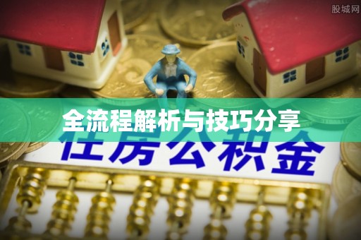 肥西全流程解析与技巧分享